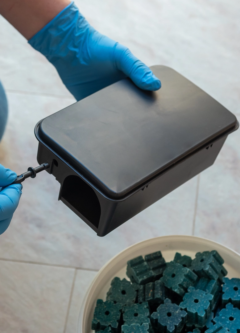 consulenza-per-management-per-aziende-novara