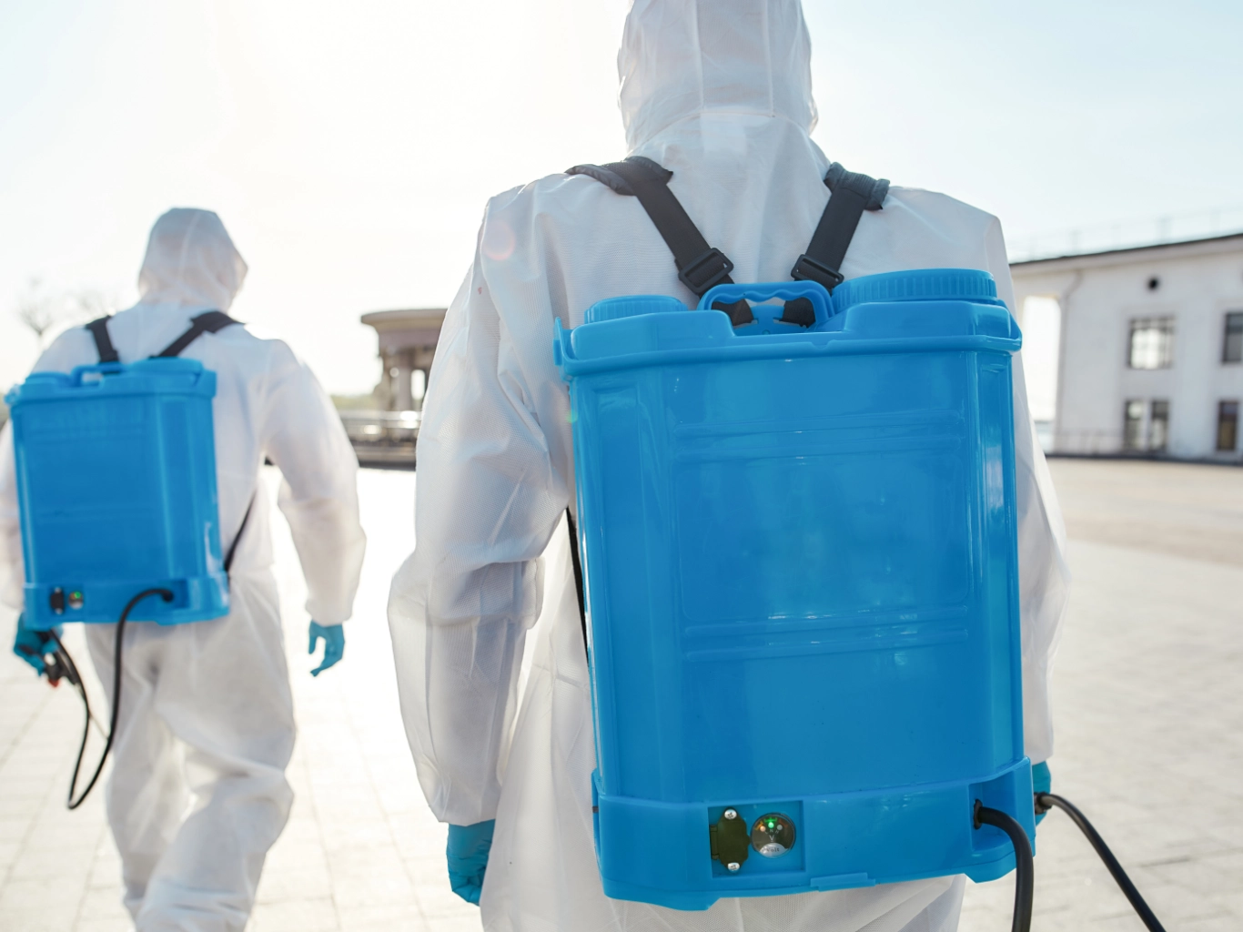 controllo-infestanti-varese