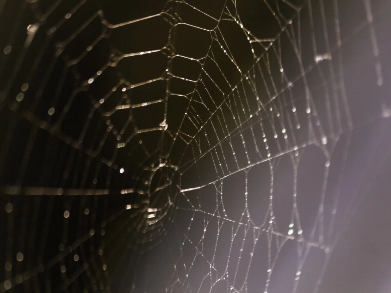 deragnatura-facciate-esterne