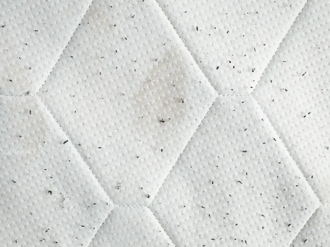 unrecognizable-person-white-chemical-protection-suit-doing-disinfection-public-areas-stop-spreading-highly-contagious-corona-virus disinfestazione-definitiva-cimici-dei-letti-verbano-cusio-ossola