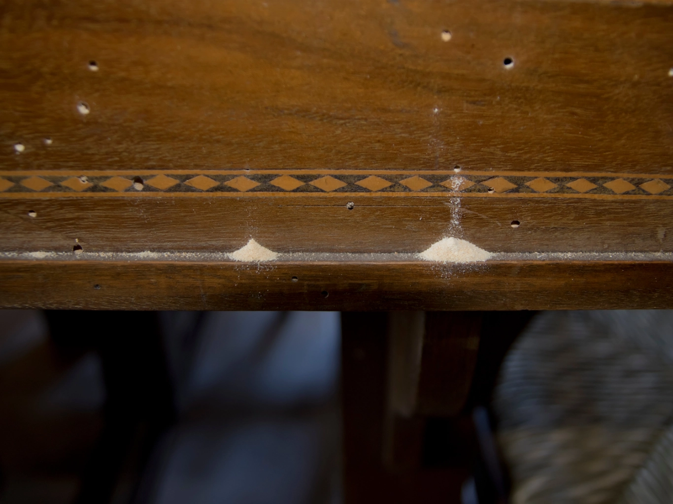 disinfestazione-tarli-cimici-privati-monza-brianza