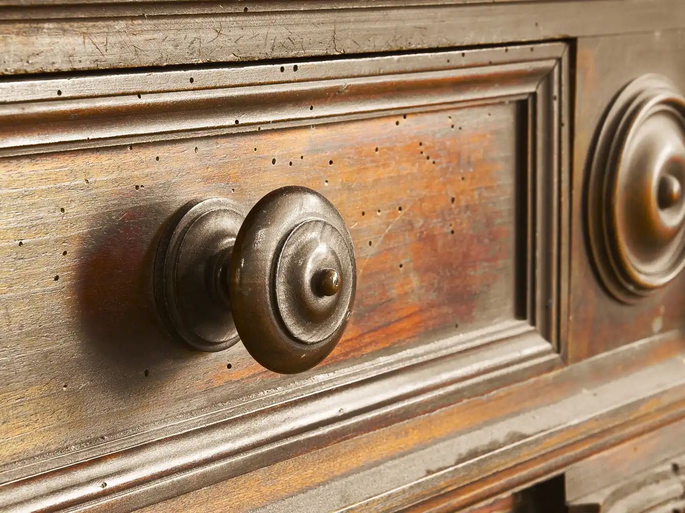 disinfestazione-tarli-e-cimici-in-casa-novara-monza-brianza