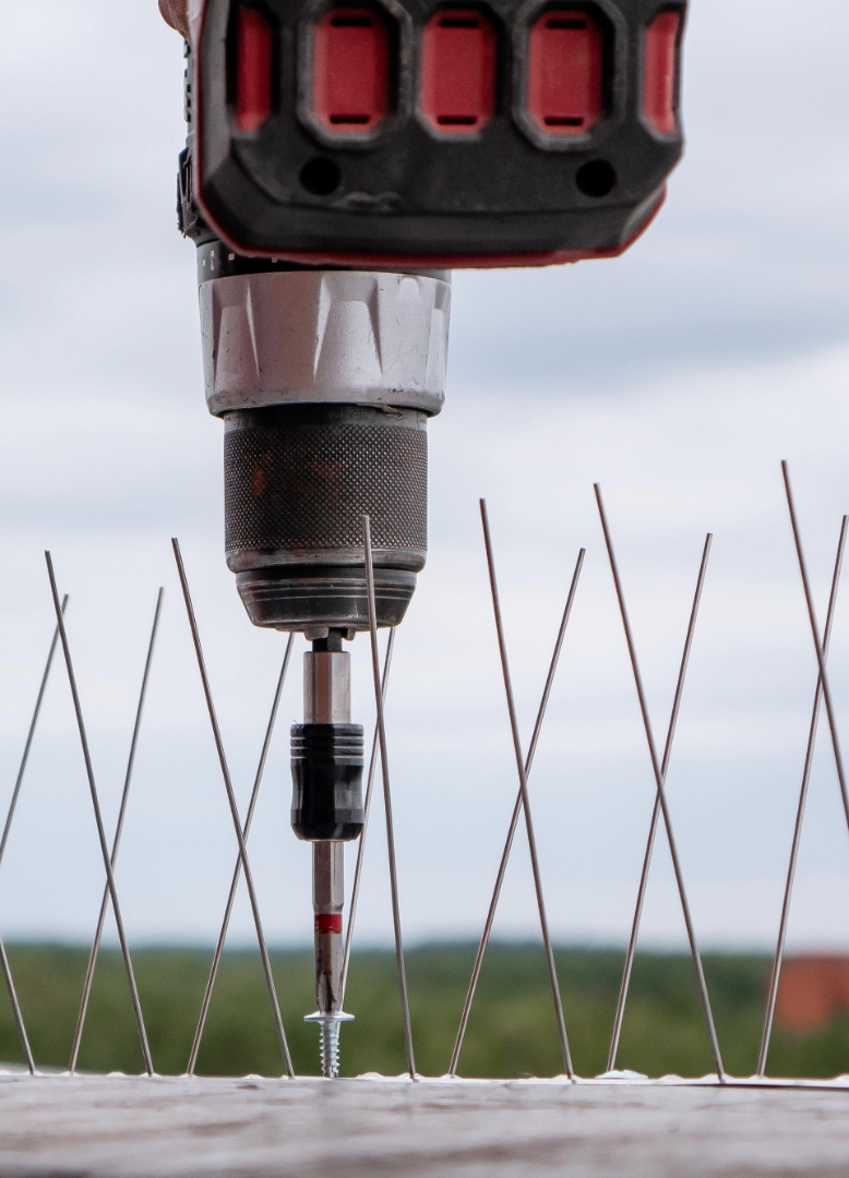 dissuasori-e-sistemi-bioacustici-verbano-cusio-ossola