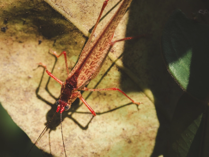 AdobeStock_1683560820 forMAZIONE-3