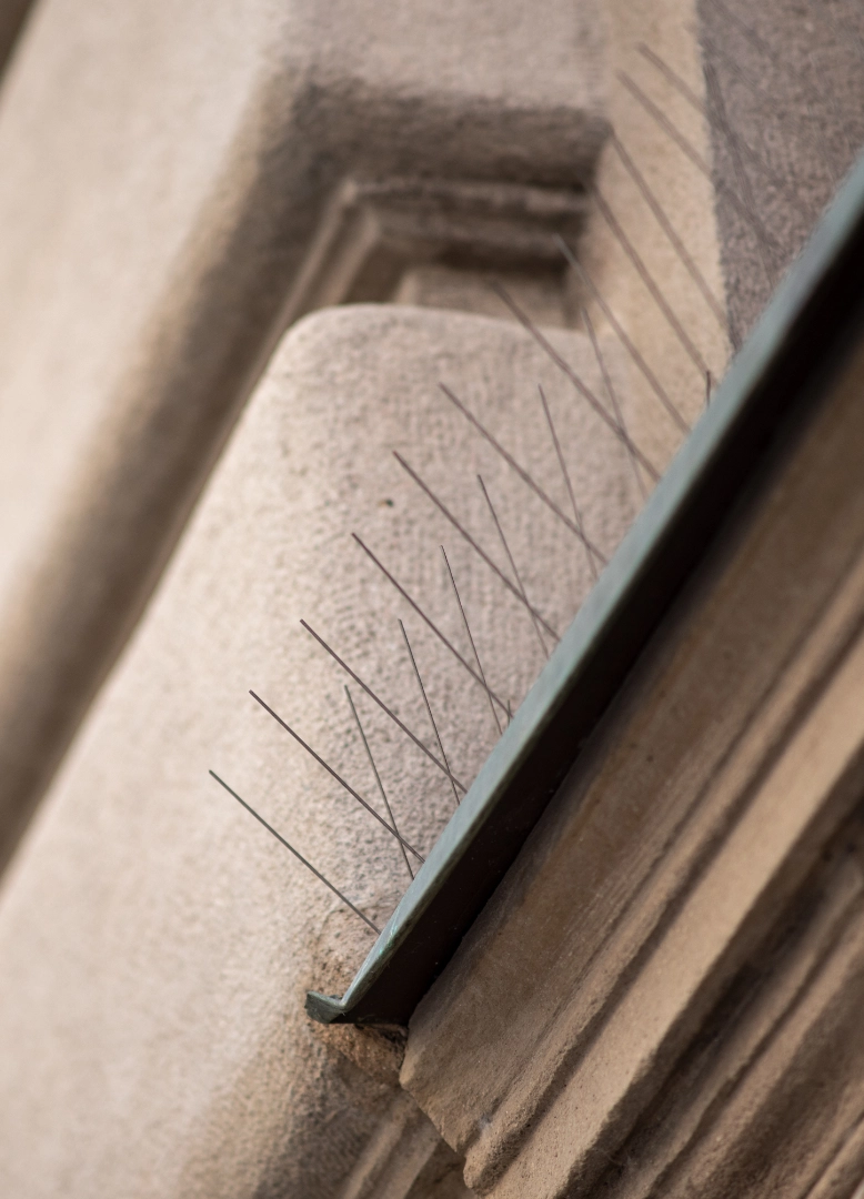 person-white-chemical-protection-suit-doing-disinfection-public-areas-stop-spraying-highly-contagious-corona-virus installazioni-reti-ultrasuoni-repellenti-verbano-cusio-ossola