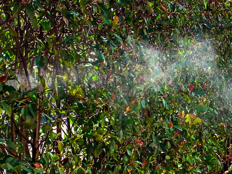 nebulizzazione-automatica-anti-zanzare