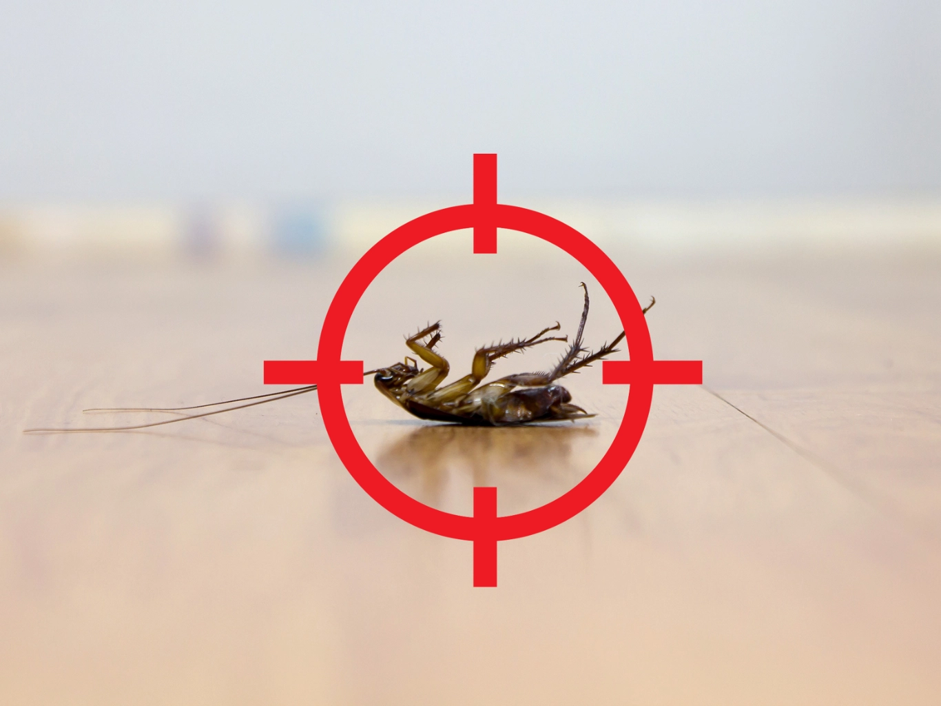 pest-management-pest-proofing-novara pest-management-pest-proofing-novara