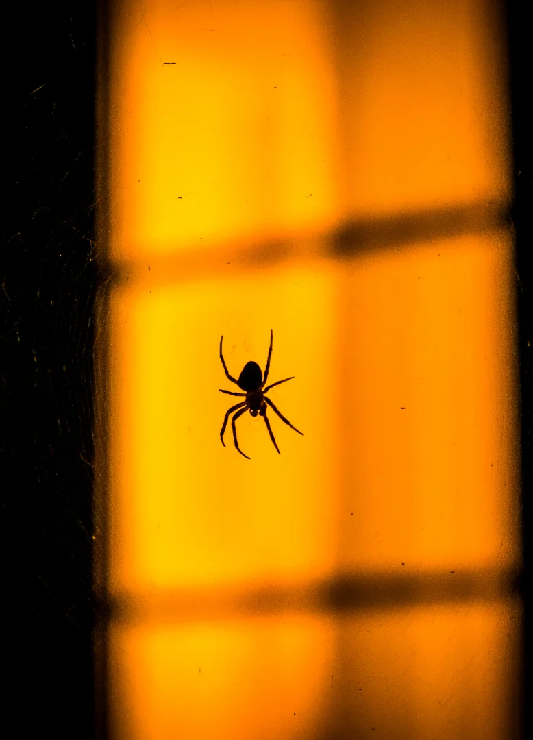 person-white-chemical-protection-suit-doing-disinfection-public-areas-stop-spraying-highly-contagious-corona-virus rimozione-ragnatele-facciate-e-portoni-novara