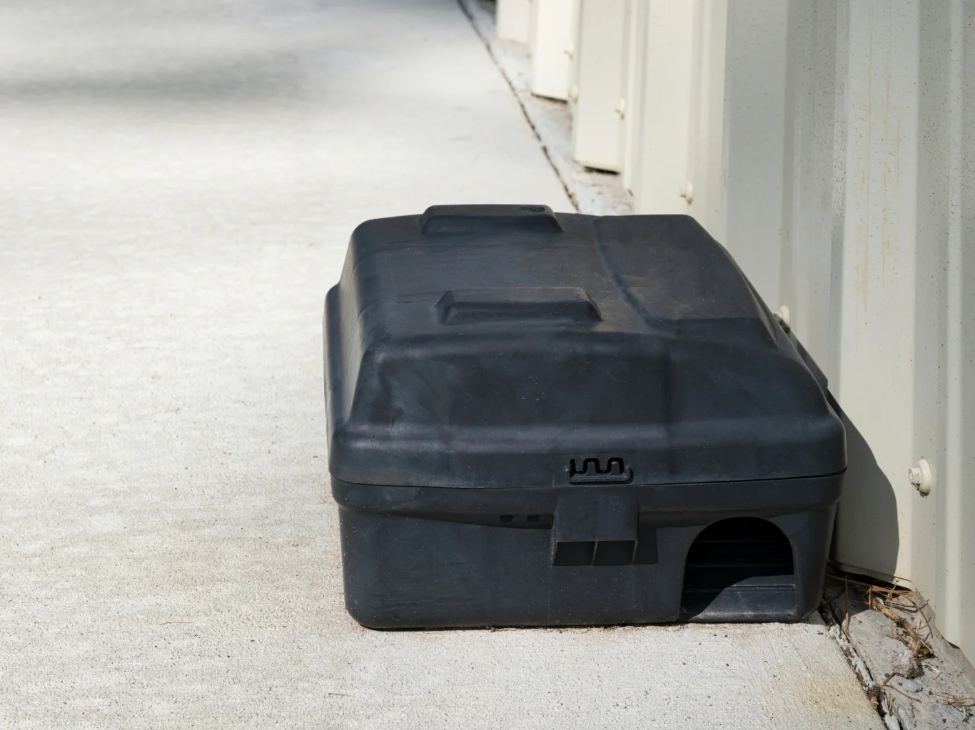 trappola-con-esche-in-pasta-molto-appetibili-per-le-prede