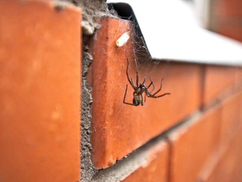 deragnatura-hotel-bb-ristoranti